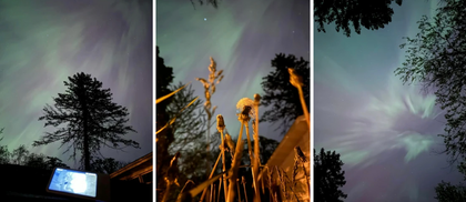 Will You Dream With Me?