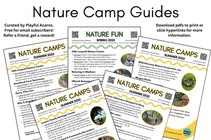 In A Nutshell: Nature Camp Guides