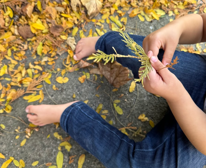 Our Breath and Mental Health