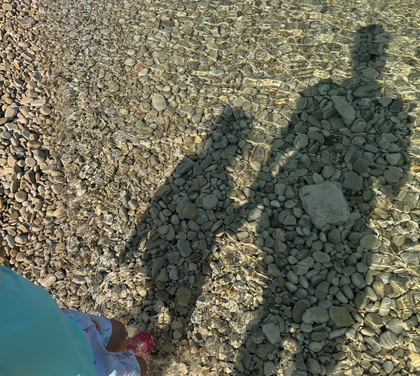 In A Nutshell: What A Trip