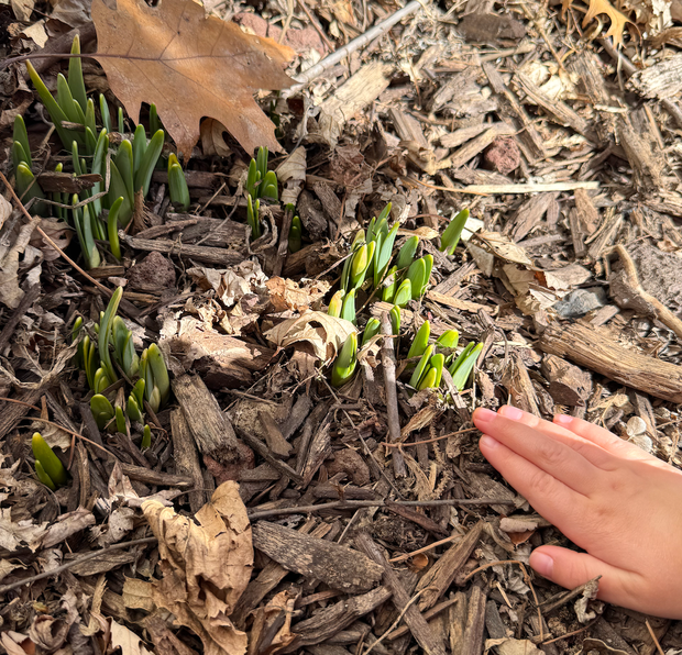 In A Nutshell: Sharing is Caring