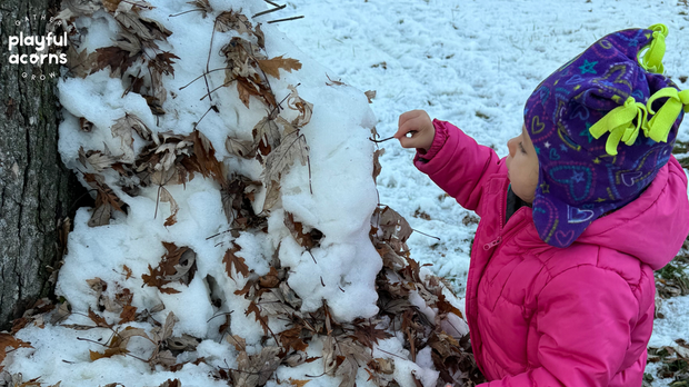 January Schedule and Q/A with Special Guests!