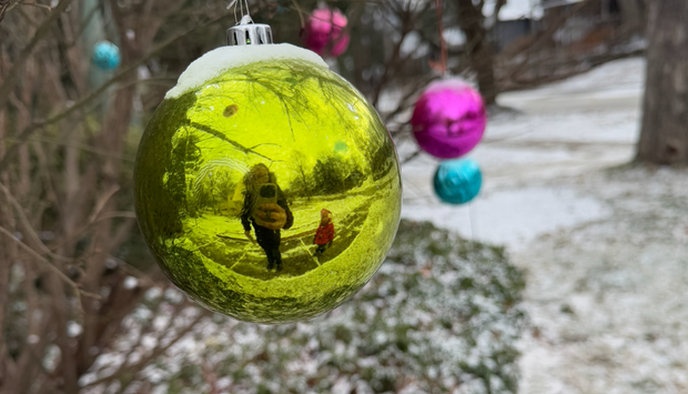 In A Nutshell: Winter Solstice Celebrations!