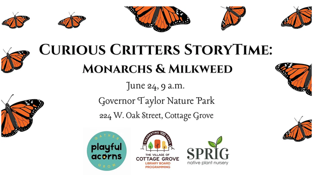 Summer is here! Let's play!