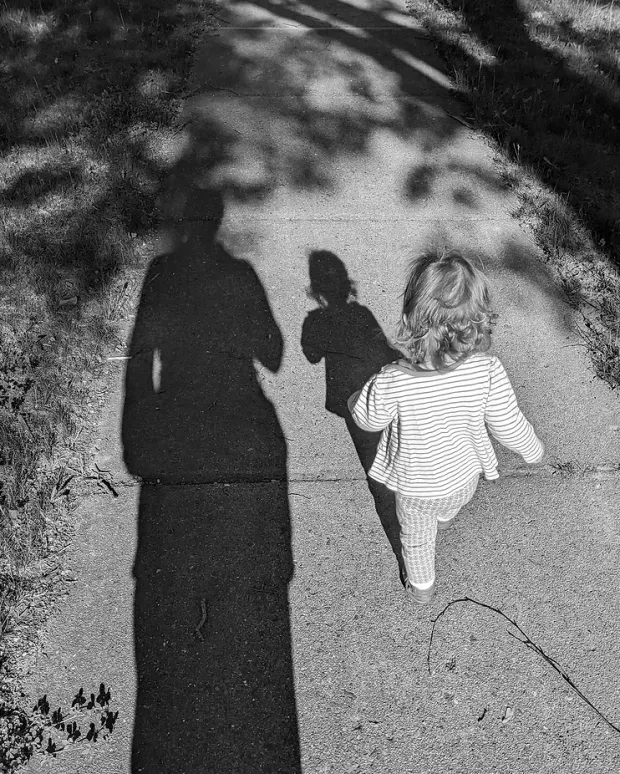 In A Nutshell: Scatter & Sow