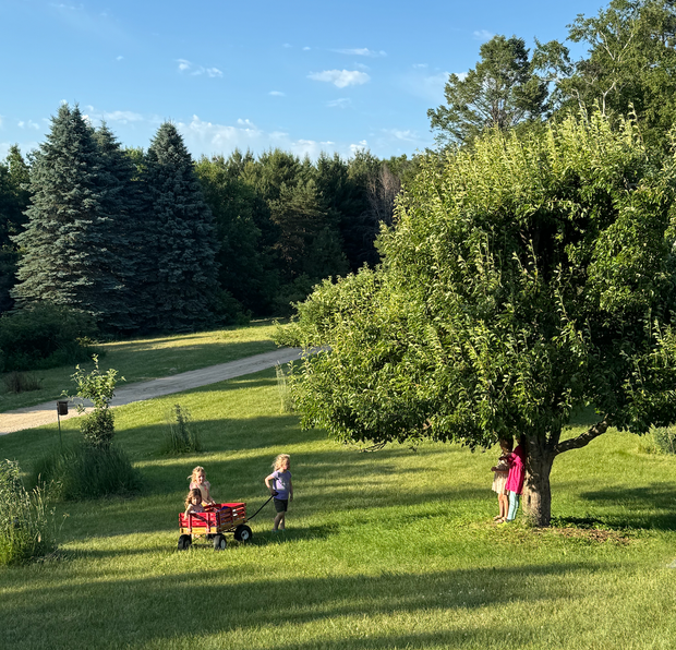 In A Nutshell: Why We Gather