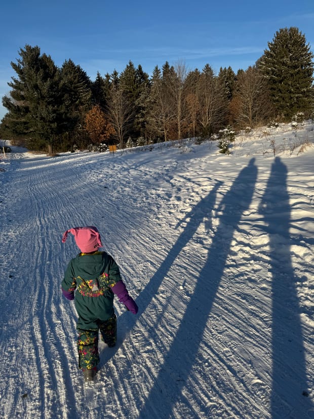 In A Nutshell: December Events