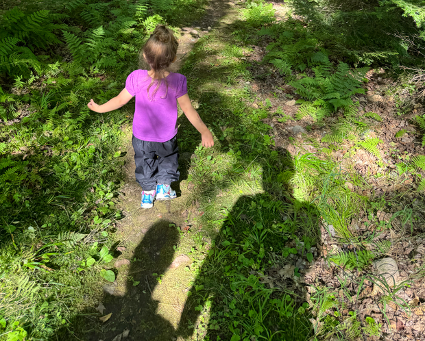 In A Nutshell: Fall Guides Are Here!