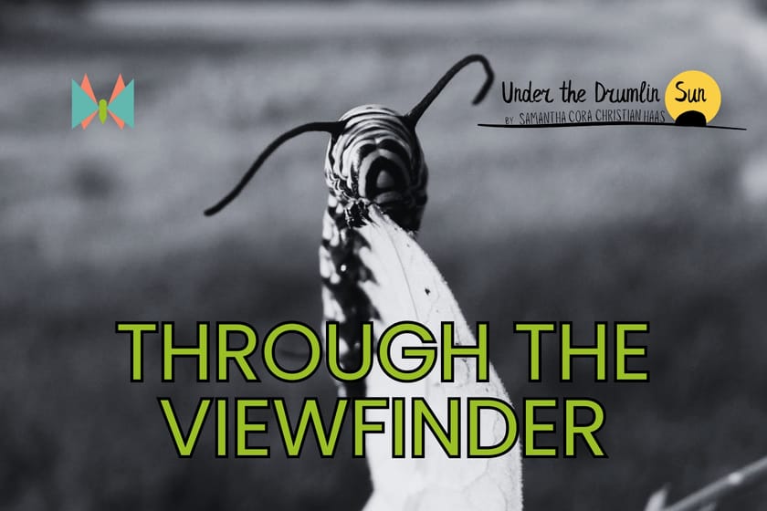 Through The Viewfinder